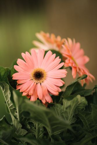 Infoavond rouw en verlies